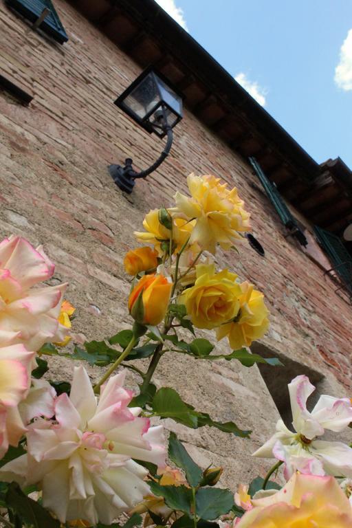 Agriturismo La Grotta Di Montecchino Siena Exterior foto